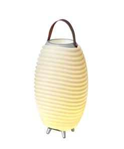 Høyttaler med vinkjøler og lys